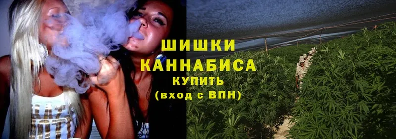 MEGA как зайти  даркнет сайт  Железногорск-Илимский  Шишки марихуана LSD WEED 